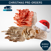 🎄 Christmas Mushroom Grow Kit: Limited Pre-Order